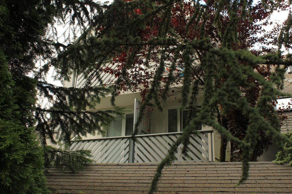 Vila Apartment Bled Lake מראה חיצוני תמונה